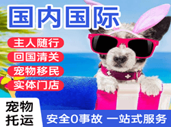 澜沧景迈国际宠物托运 【国